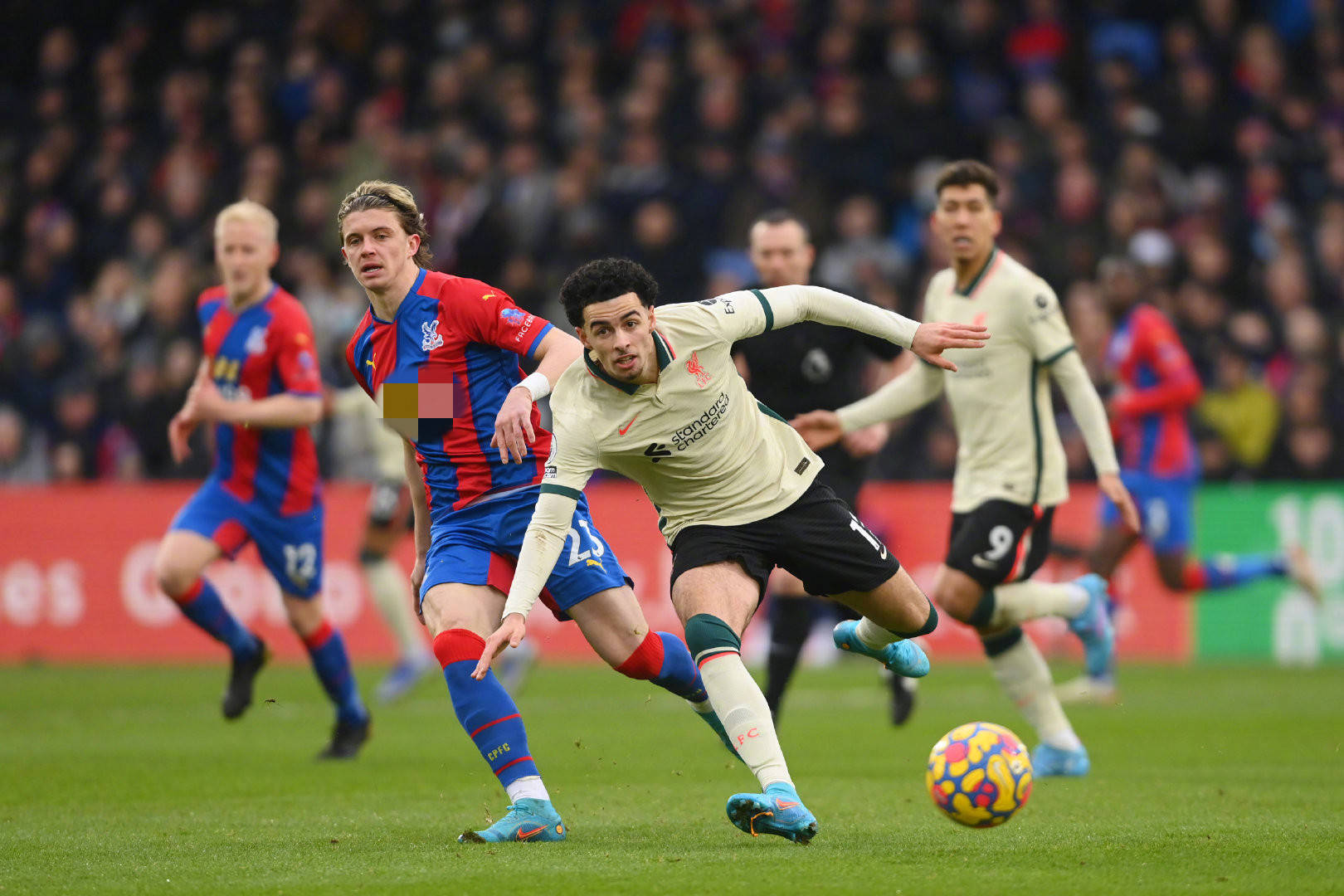 享有更真实 享有更真实