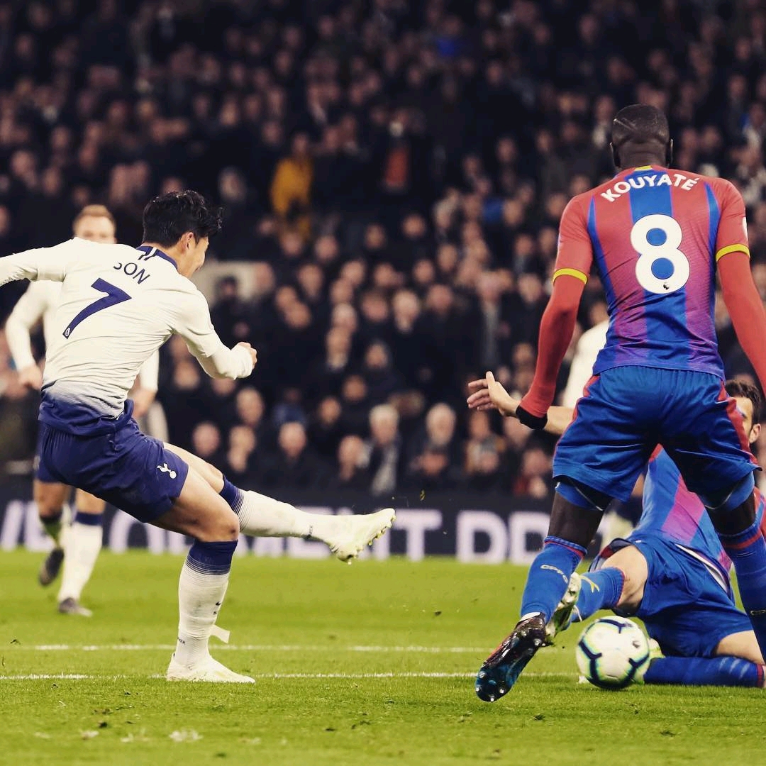 加沙相关的 加沙相关的