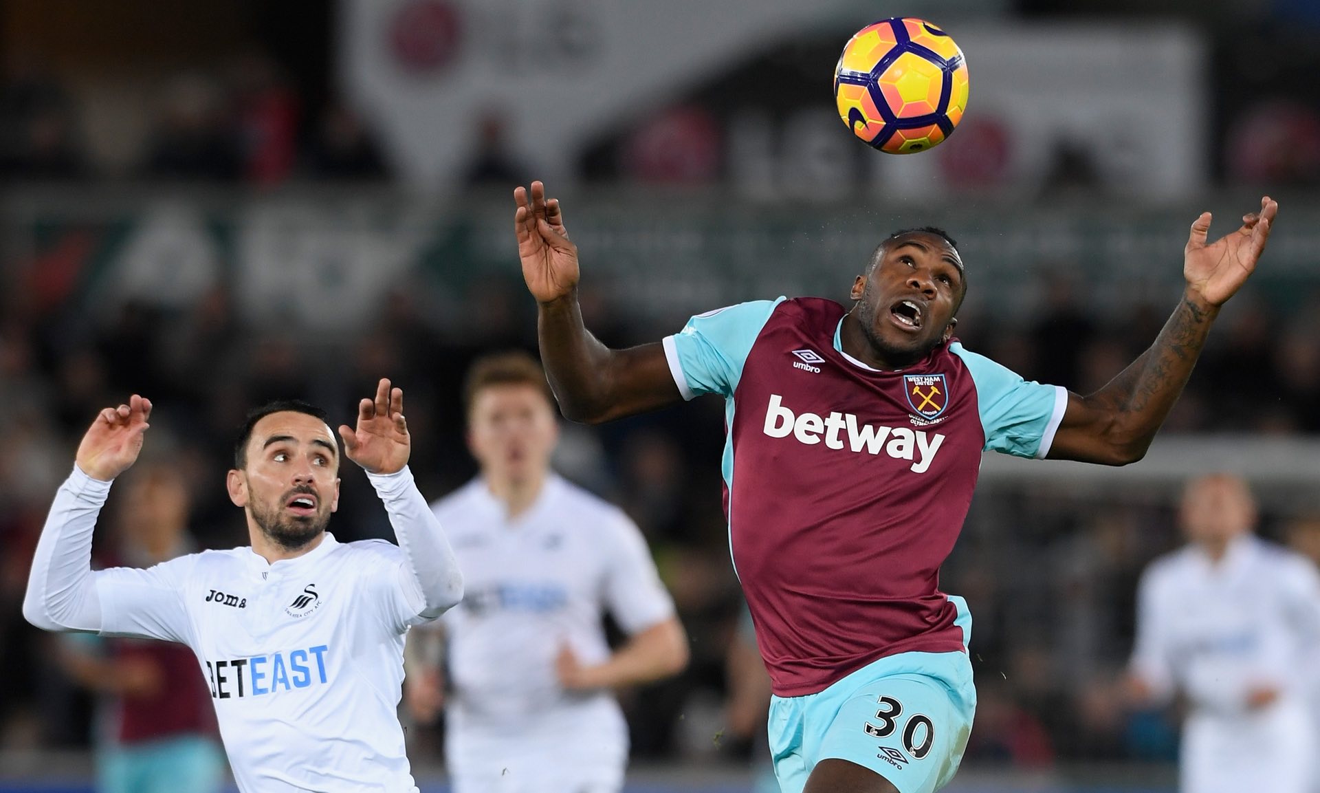 它代表了一 它代表了一